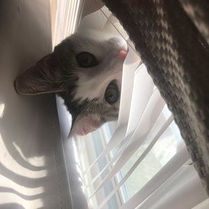 Meet your Posher, Pat